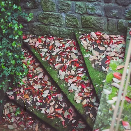 Ξενοδοχείο Paradosso